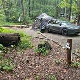 Review photo of Andrew's Cove Campground — Chattahoochee Oconee National Forest by Angela A., August 19, 2024