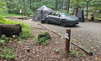 Angela A.'s photo at Andrew's Cove Campground — Chattahoochee Oconee National Forest near Cleveland, GA