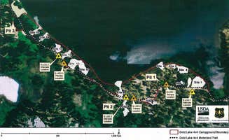 The Dyrt's photo of camping with pets at Gold Lake 4x4 Campground near Downieville, CA