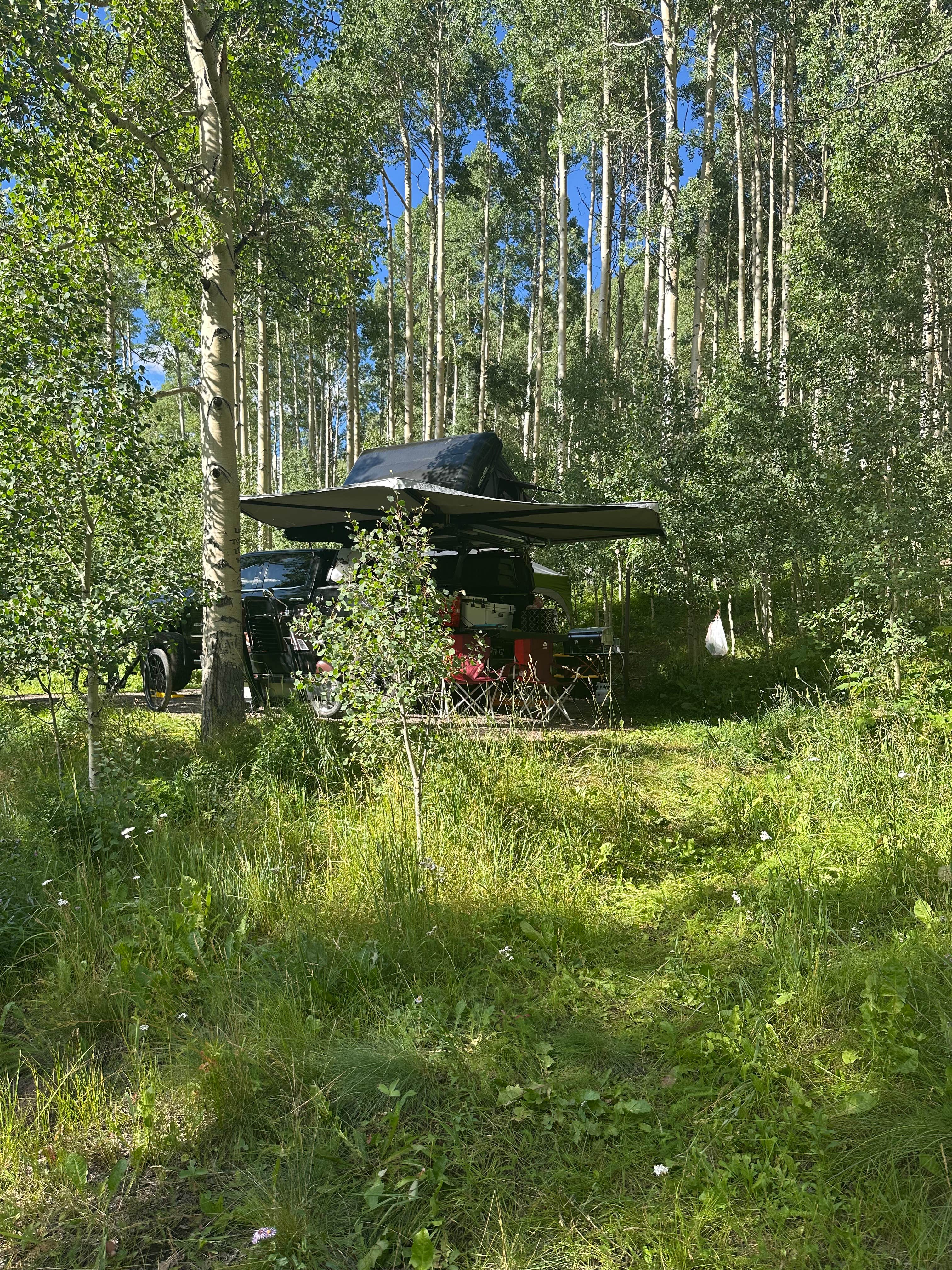 Camper-submitted photo at Matterhorn — Grand Mesa, Uncompahgre And Gunnison National Forest near Rico, CO