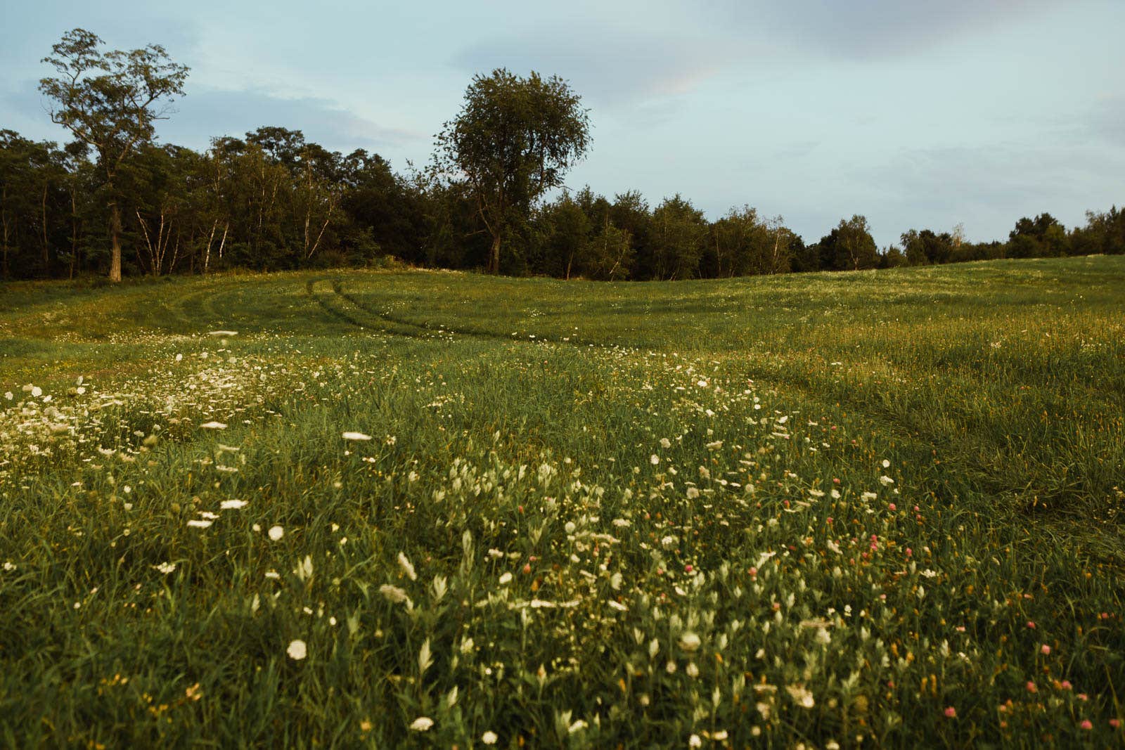 Nature