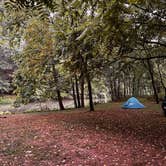 Review photo of Bennie’s Beach Campground by Marty T., August 21, 2024