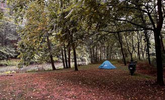 Marty T.'s photo at Bennie’s Beach Campground near Broadway, VA