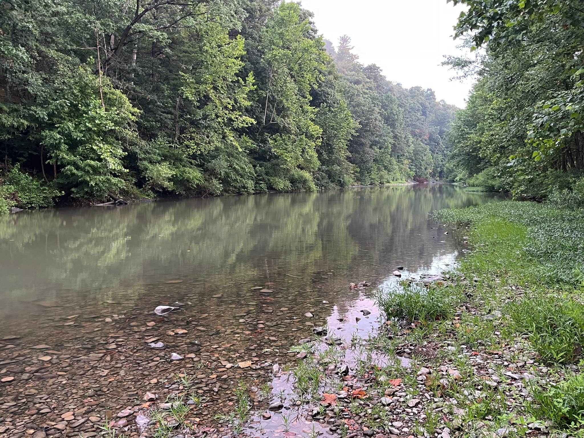 Camper-submitted photo at Bennie’s Beach Campground near Fulks Run, VA