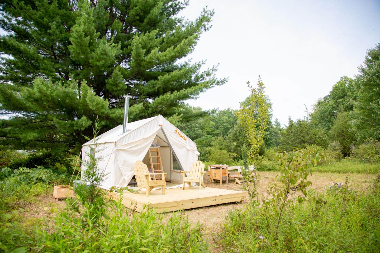 The Dyrt's photo at Clove Valley Creek near Gardiner, NY