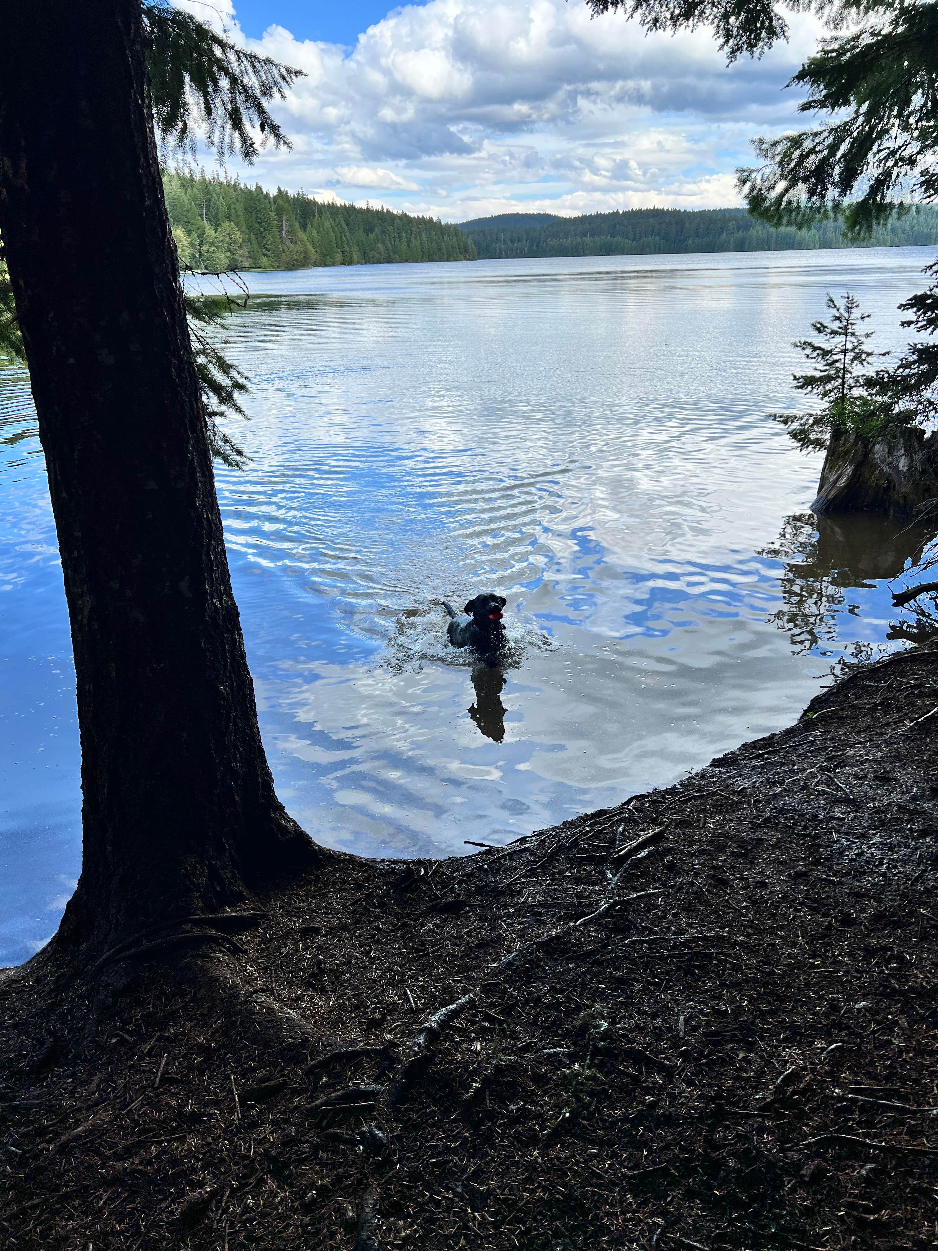 Camper-submitted photo at Meditation Point Campground near Government Camp, OR
