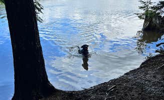 CJ S.'s photo of camping with pets at Meditation Point Campground near Mt. Hood National Forest