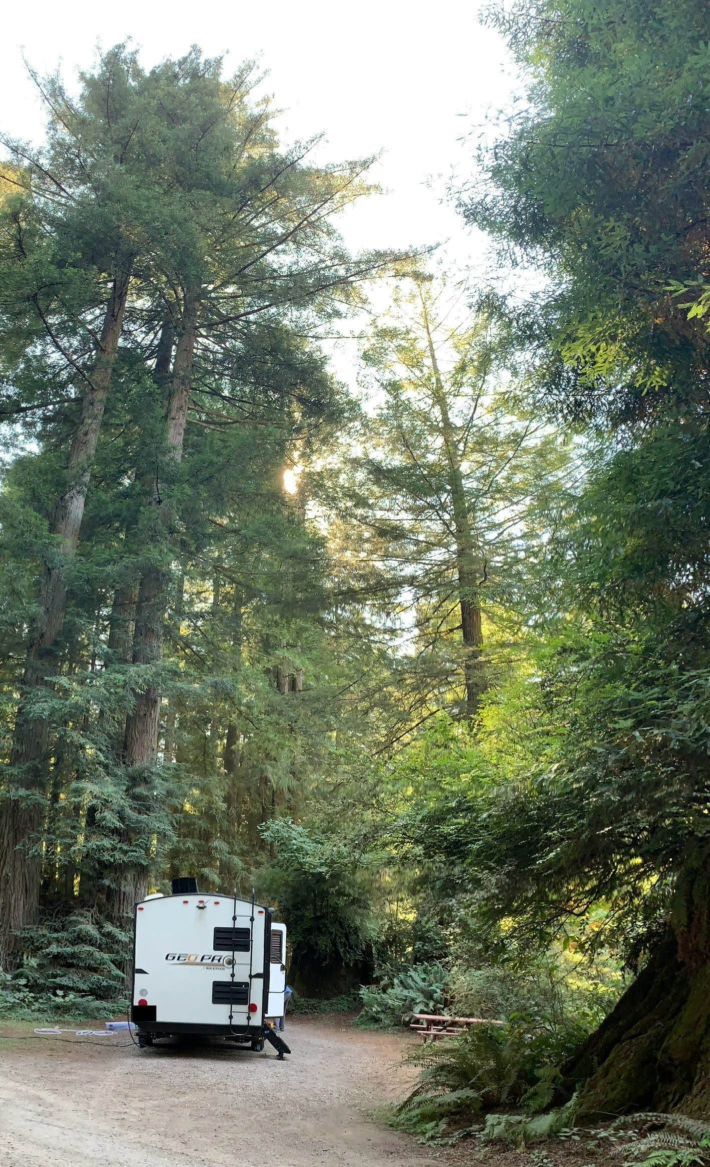 Denise G.'s photo of rv camping at Ramblin' Redwoods Campground & RV Park near Crescent City, CA