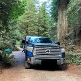 Review photo of Ramblin' Redwoods Campground & RV Park by Denise G., August 23, 2024