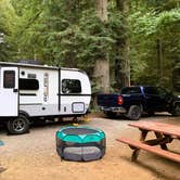 Review photo of Ramblin' Redwoods Campground & RV Park by Denise G., August 23, 2024