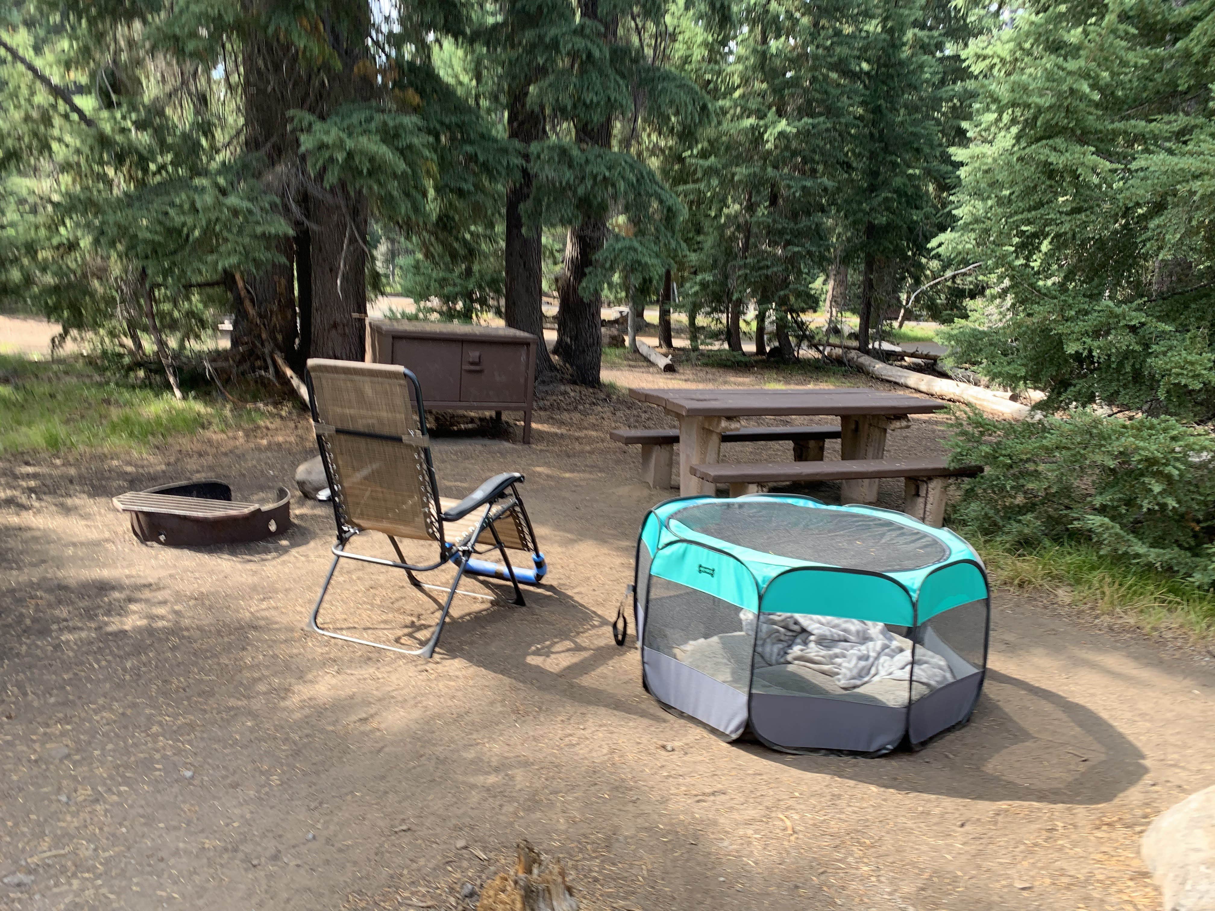 Denise G.'s photo at Mazama Village Campground — Crater Lake National Park near Prospect, OR