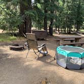 Review photo of Mazama Village Campground — Crater Lake National Park by Denise G., August 23, 2024