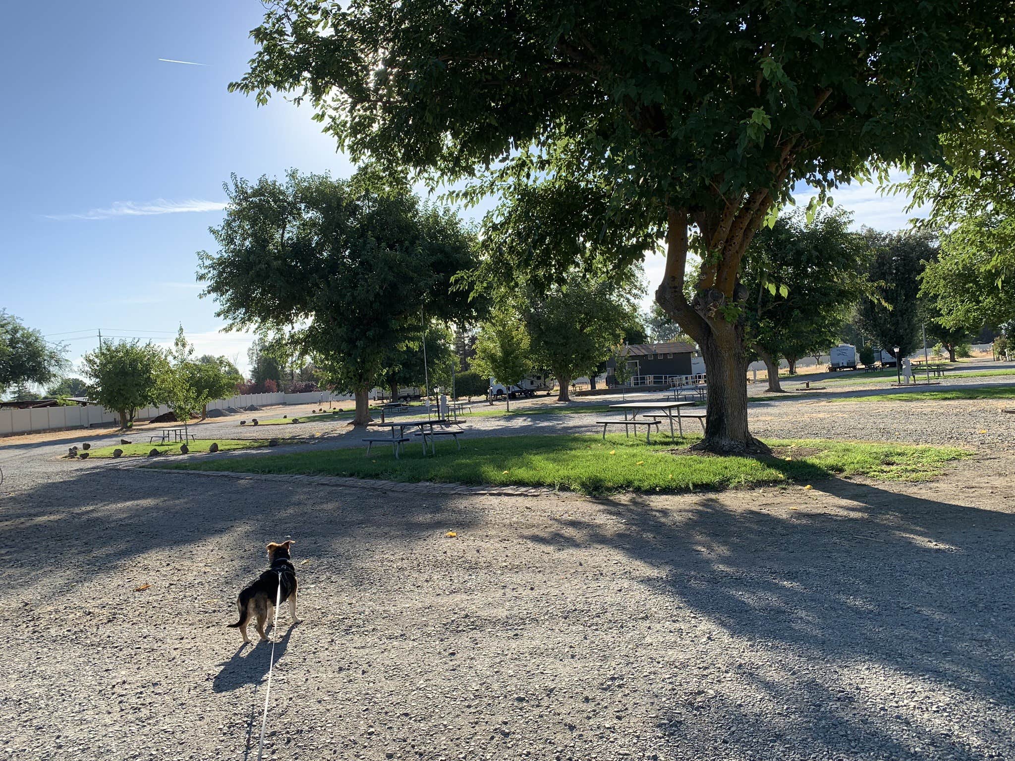 Denise G.'s photo of camping with pets at The Parkway RV Resort & Campground near Elk Creek, CA