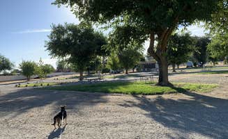 Denise G.'s photo of camping with pets at The Parkway RV Resort & Campground near Corning, CA