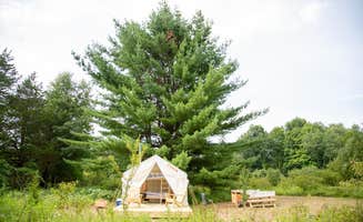 The Dyrt's photo at Clove Valley Creek near Kerhonkson, NY