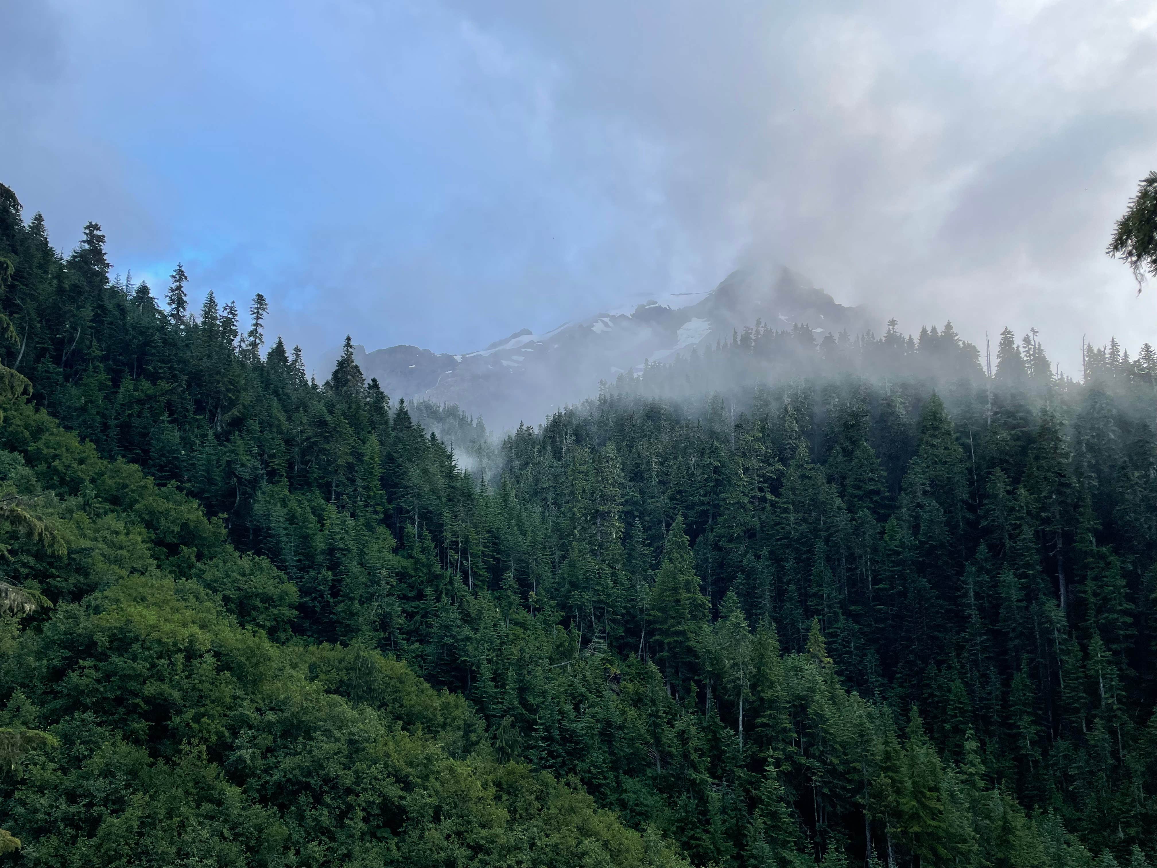 Camper-submitted photo at Elk Lake — Olympic National Park near Olympic National Park