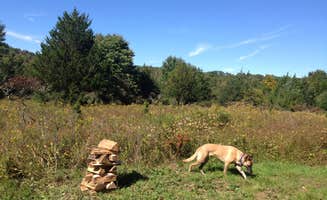 The Dyrt's photo of camping with pets at Clove Mountain Meadow near Billings, NY