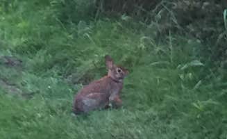 The Dyrt's photo of camping with pets at Valley View Serenity near South Plymouth, NY
