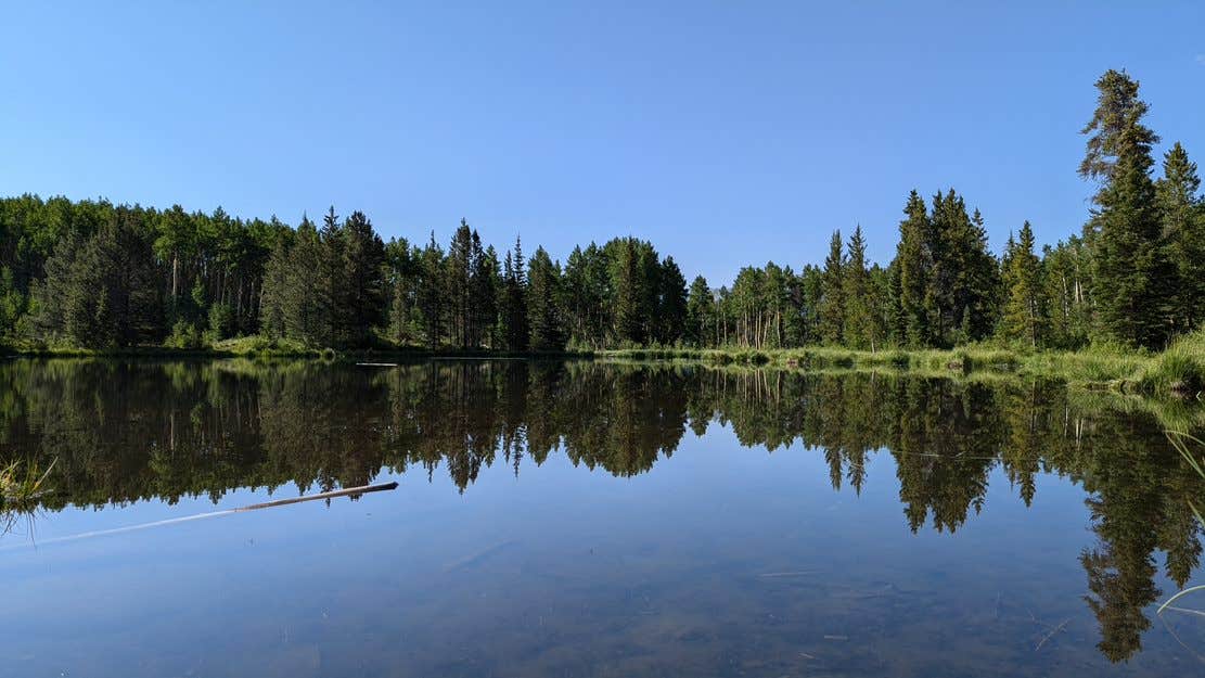 Steven P.'s photo of a dispersed camping area at Lake View Dispersed near Granite, CO