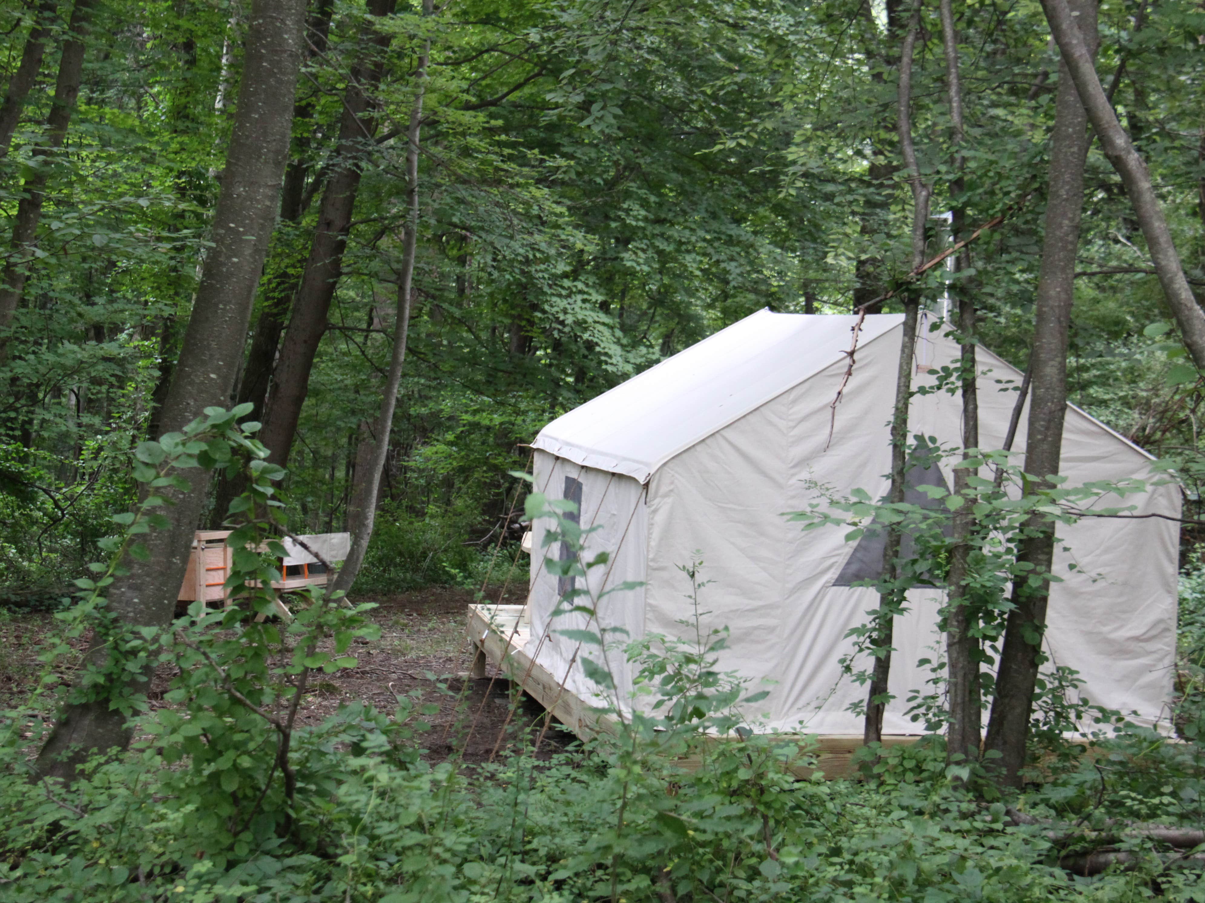 The Dyrt's photo at Holmestead Woods near Waccabuc, NY