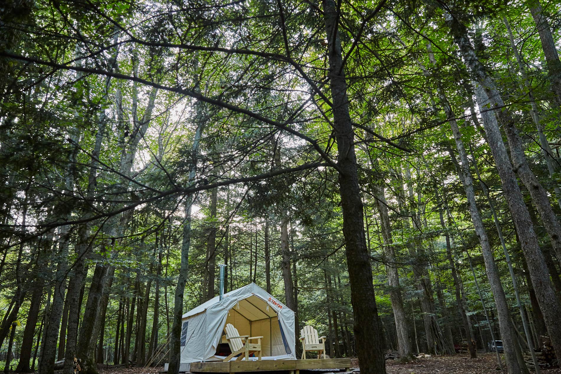 The Dyrt's photo at Flat Creek Island at Hoofbeats near Fort Plain, NY