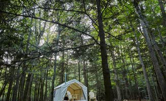 The Dyrt's photo at Flat Creek Island at Hoofbeats near Fort Plain, NY