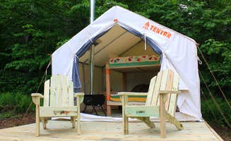 The Dyrt's photo at Big Pond Mountain near Downsville, NY