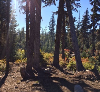 Camper-submitted photo from Peninsula (Olallie) Campground