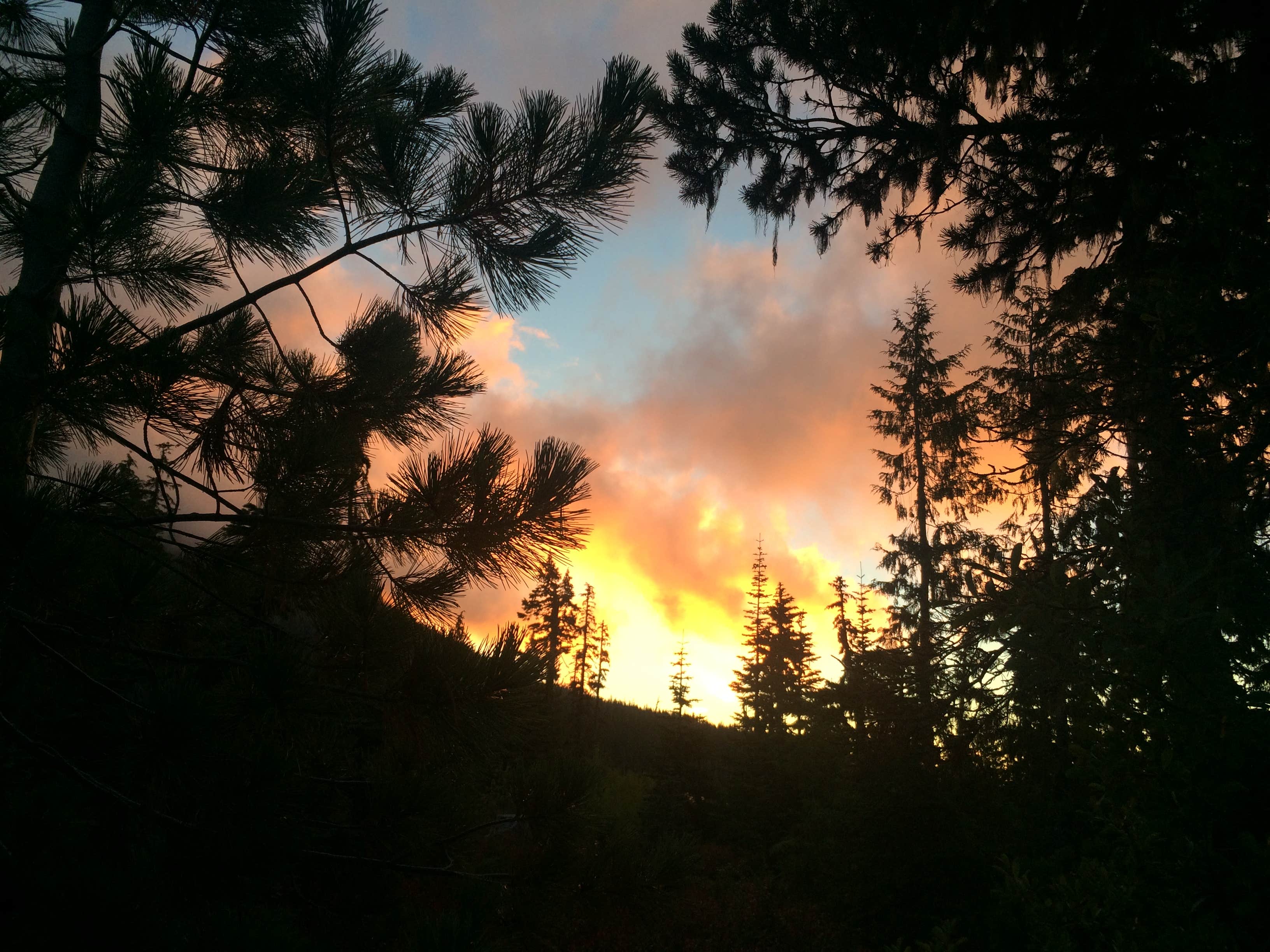 Camper-submitted photo at Peninsula (Olallie) Campground near Idanha, OR