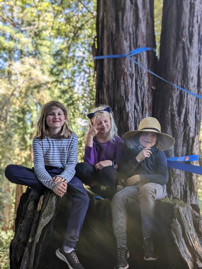 Camper-submitted photo at La Bohemia near Fulton, CA