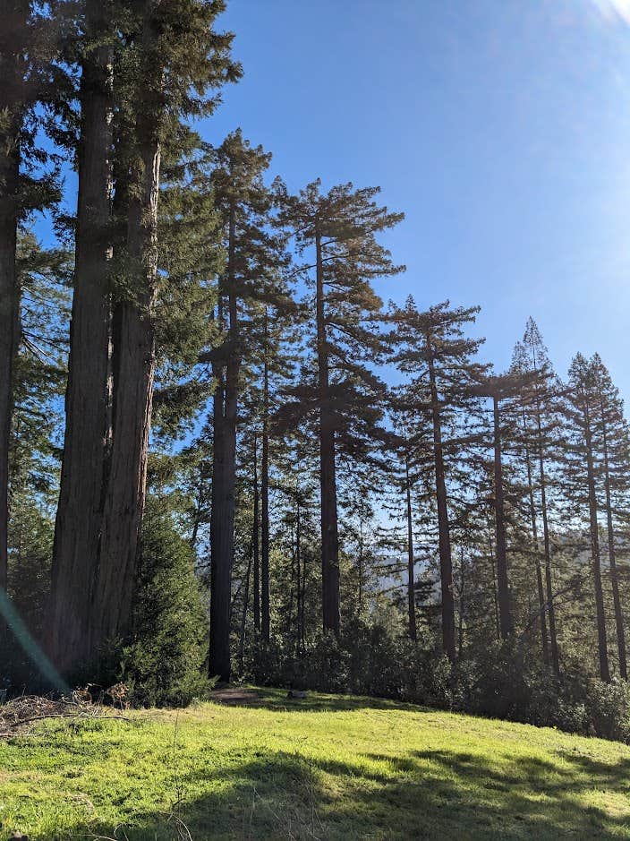 Camper-submitted photo at La Bohemia near Fulton, CA