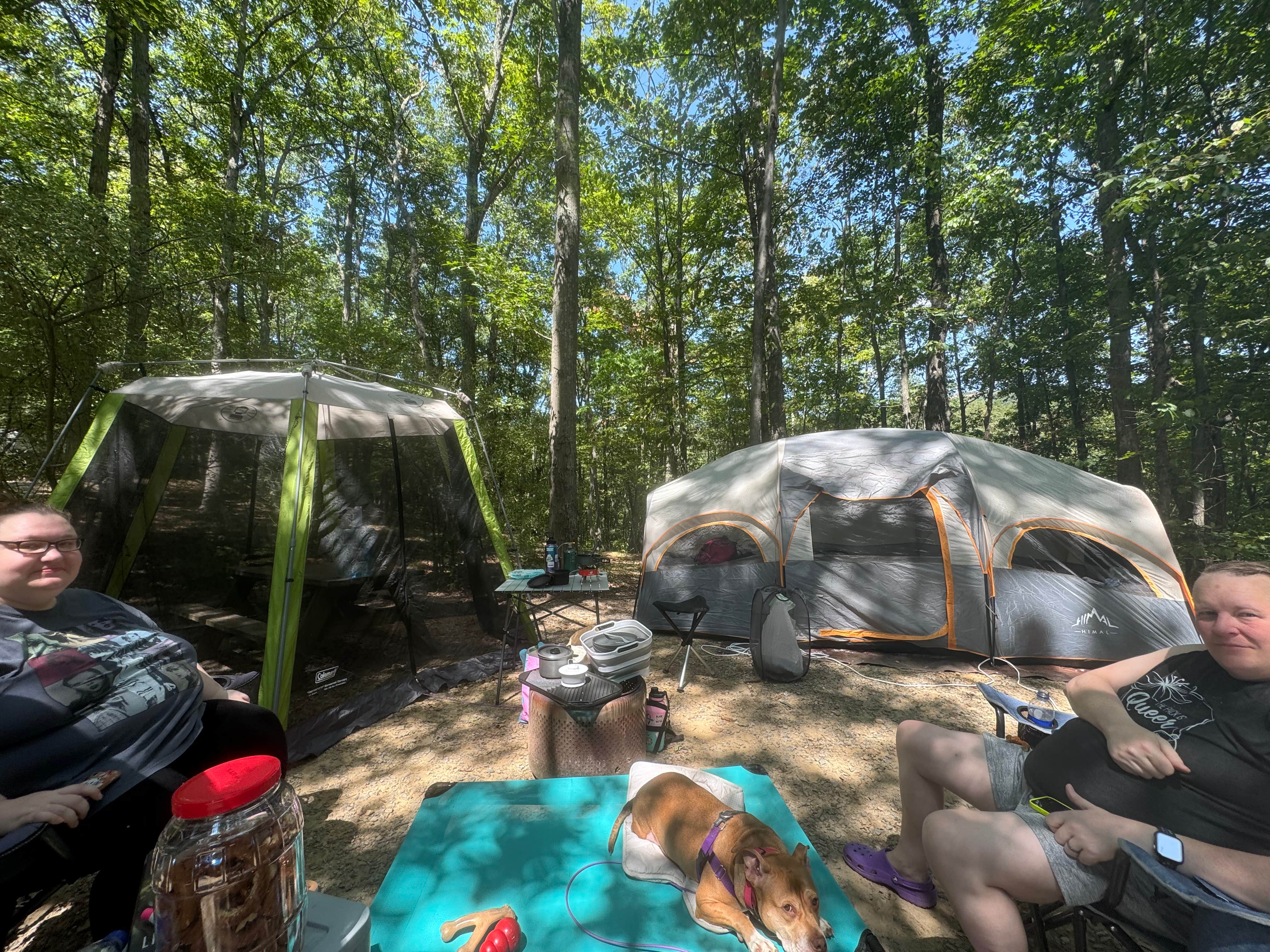 Tiel M.'s photo of camping with pets at Middle Ridge Campground in West Virginia