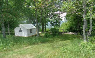 The Dyrt's photo at Piney Woods Hilltop Retreat near Schenevus, NY