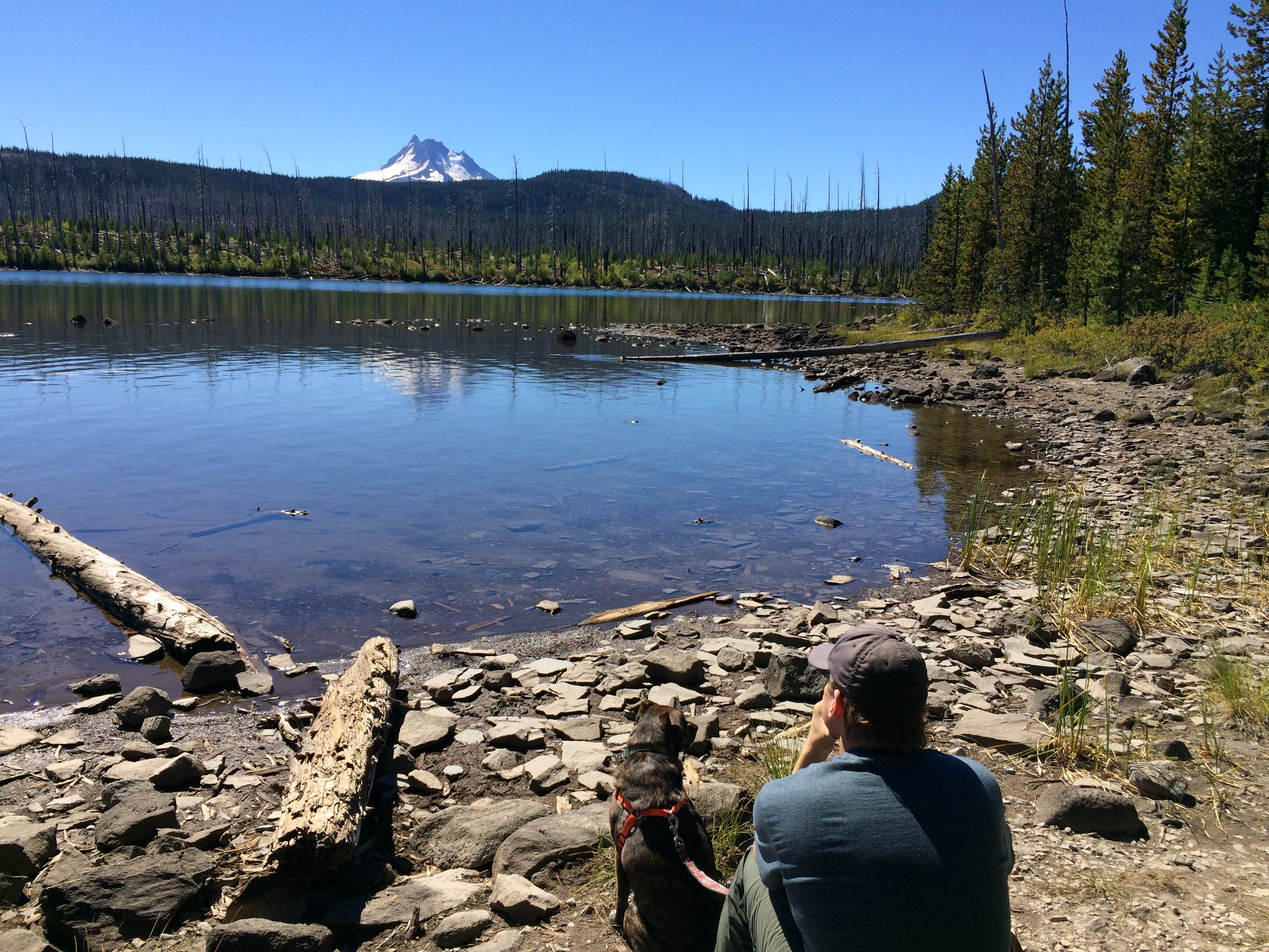 Camper submitted image from Peninsula (Olallie) Campground - 5