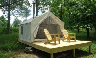 The Dyrt's photo at Piney Woods Hilltop Retreat near Schenevus, NY