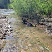 Review photo of High Island Creek Park by Travis A., August 28, 2024