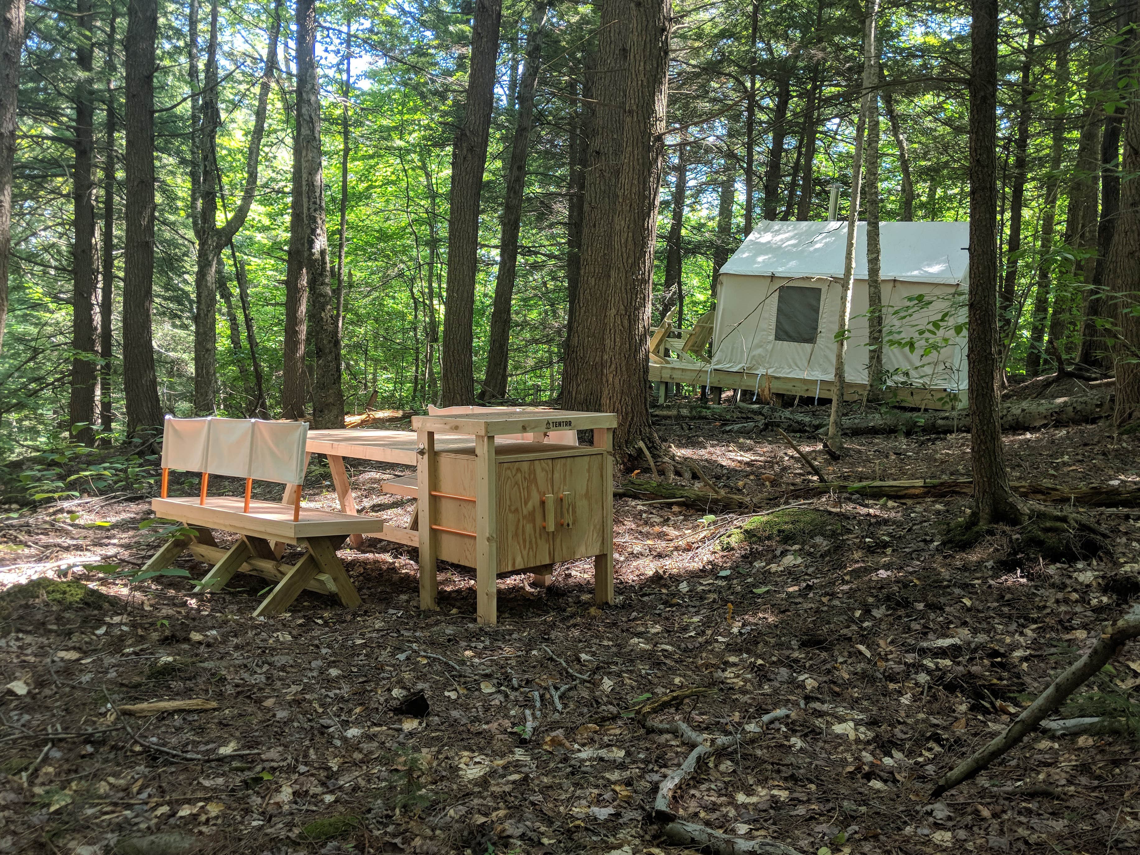 The Dyrt's photo at Cardigan Mountain Wilderness near Springfield, NH