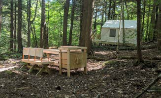 The Dyrt's photo at Cardigan Mountain Wilderness near Ashland, NH