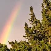 Review photo of Hammonasset State Park Campground by Cynthia K., August 29, 2024