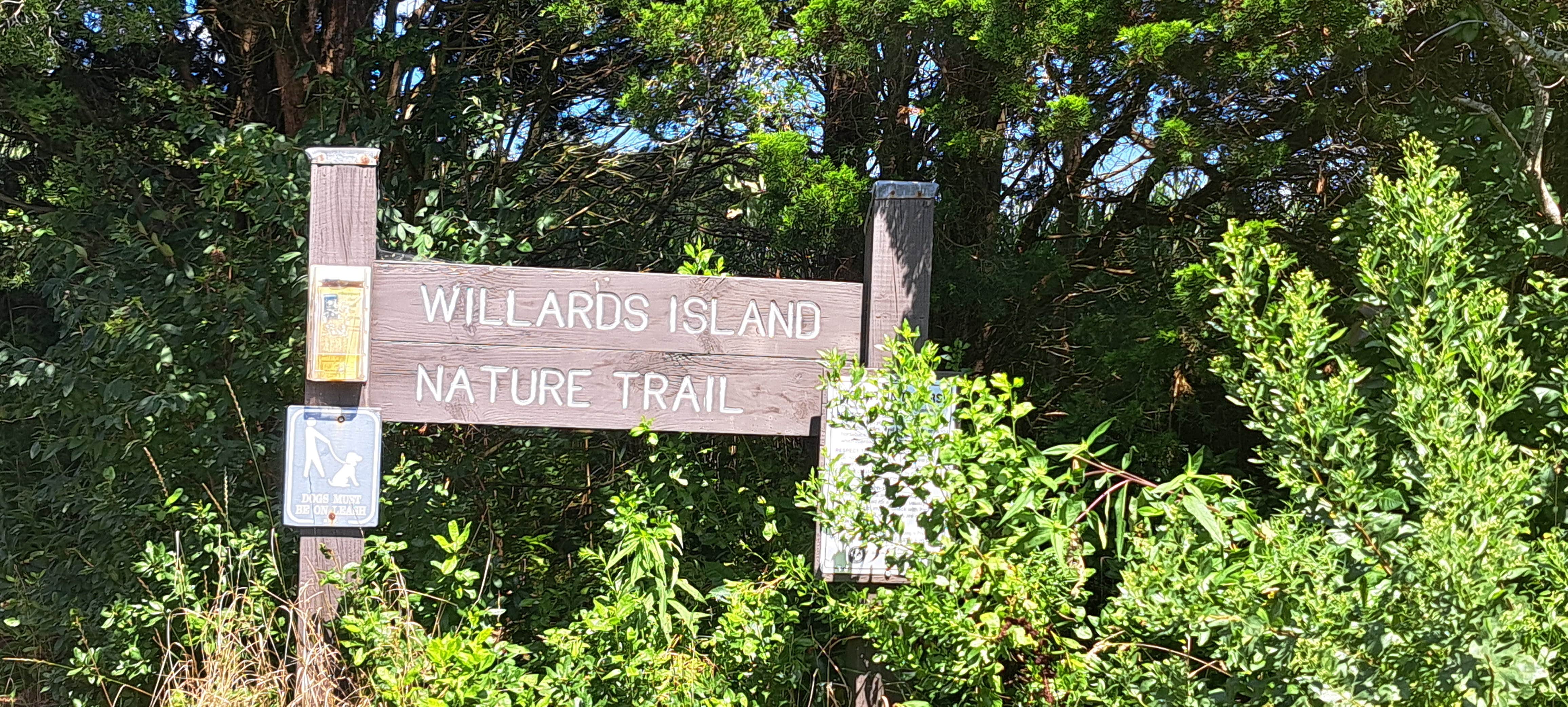 Camper submitted image from Hammonasset State Park Campground - 5