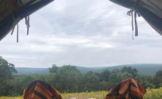 The Dyrt's photo at The Algonquin Gitigaan near Mount Carmel, PA