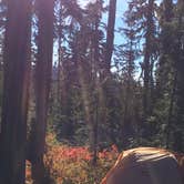 Review photo of Peninsula (Olallie) Campground by Sarah S., September 14, 2016