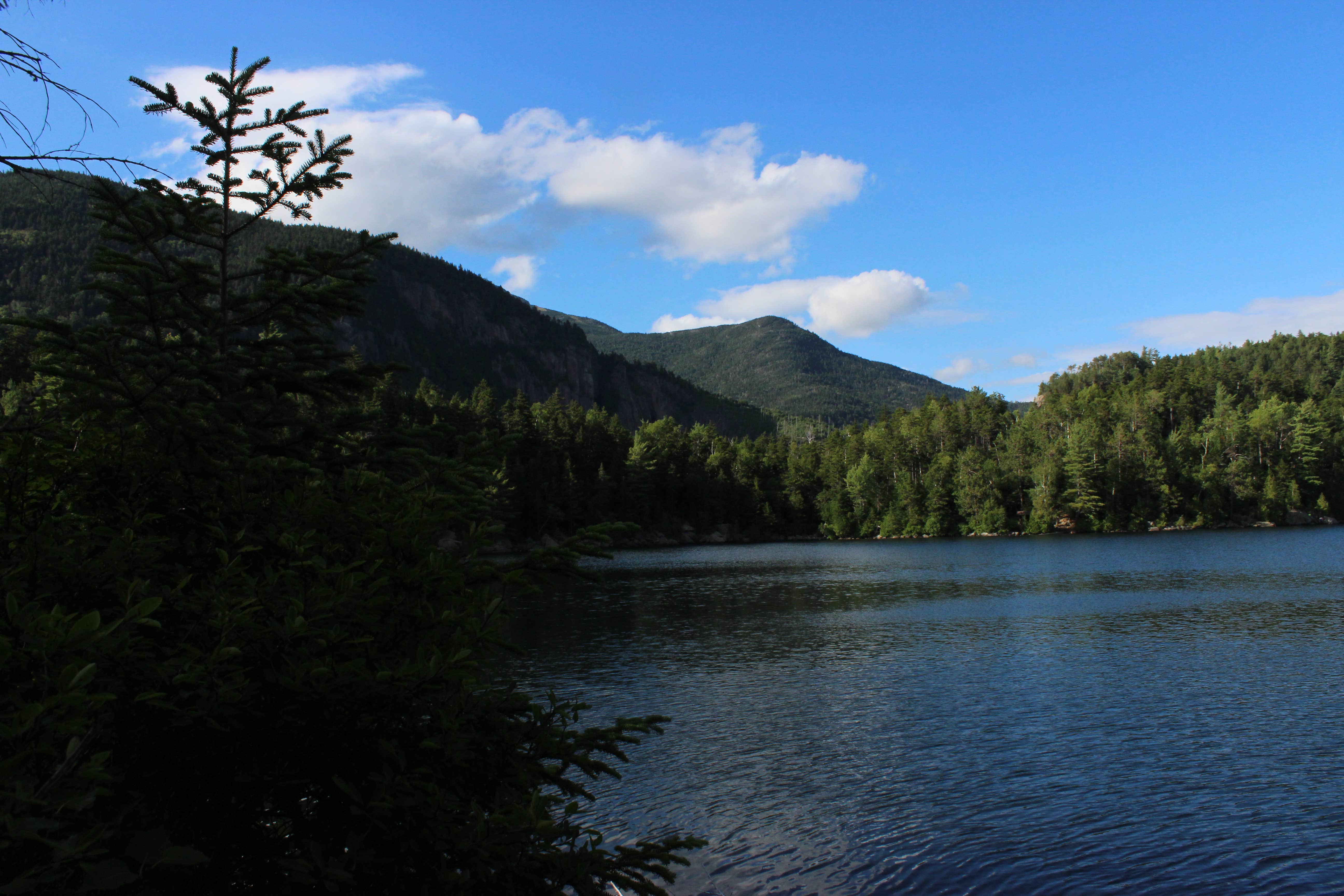 Camper submitted image from Copperas Pond - 3