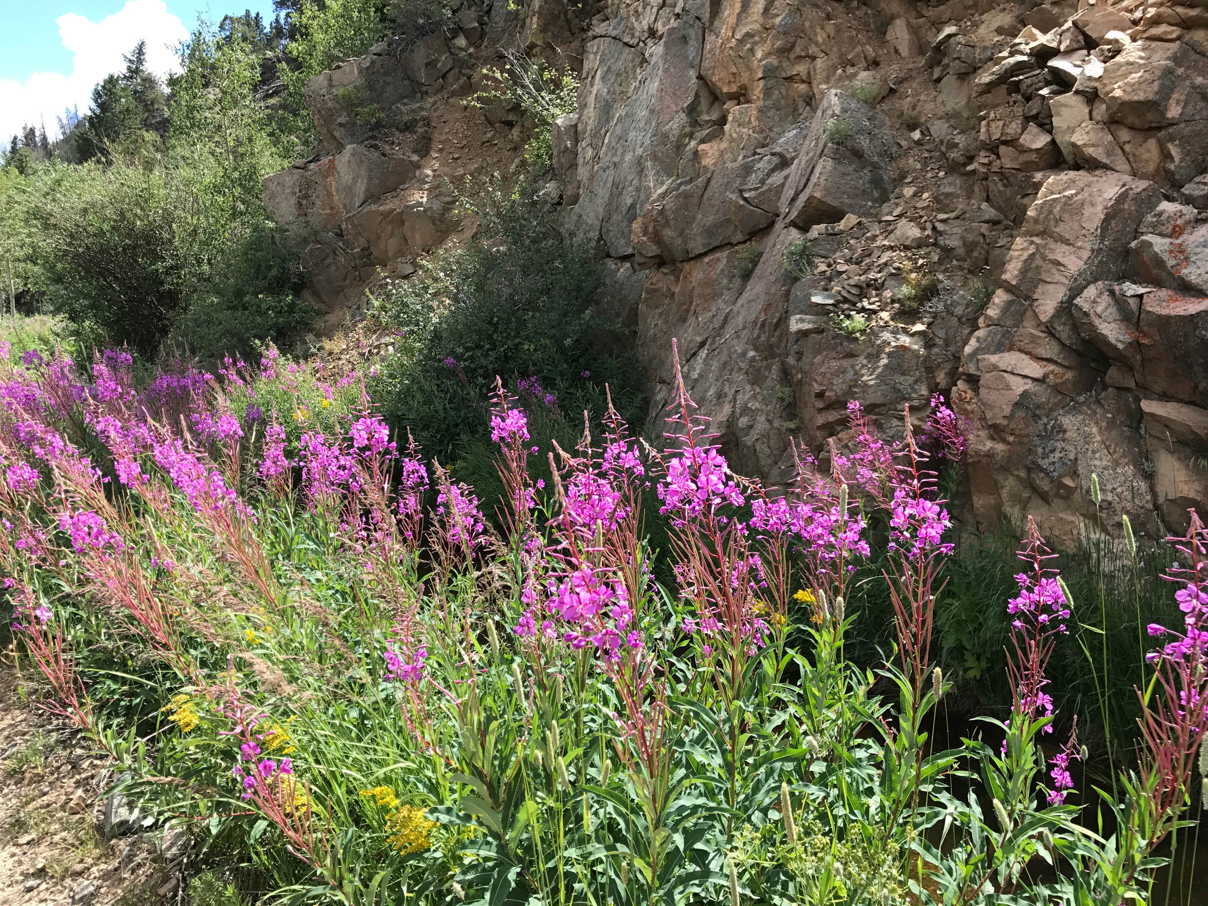 Camper-submitted photo at Tunnel Campground near Cowdrey, CO