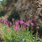 Review photo of Tunnel Campground by Bill R., September 3, 2024