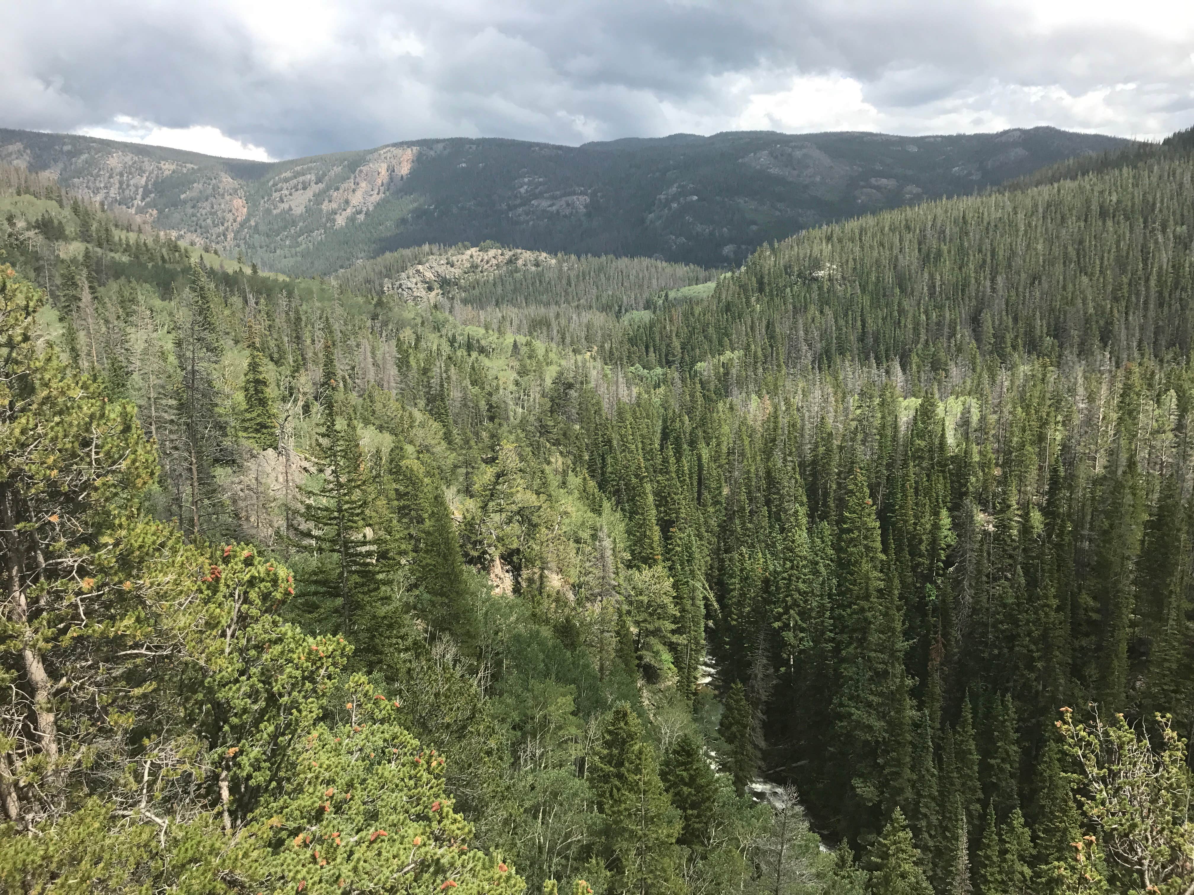 Camper-submitted photo at Tunnel Campground near Cowdrey, CO