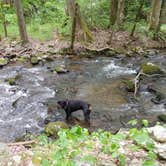 Review photo of Smokey Mountain Hidden Stills RV Campground by Rita Kay , September 3, 2024