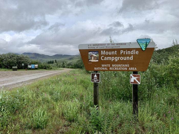 Camper submitted image from Mount Prindle Campground - 2