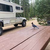 Review photo of Pawnee Campground by Karen L., September 3, 2024