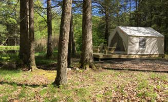 The Dyrt's photo at E and L Farms Catfish Pond near Cragsmoor, NY
